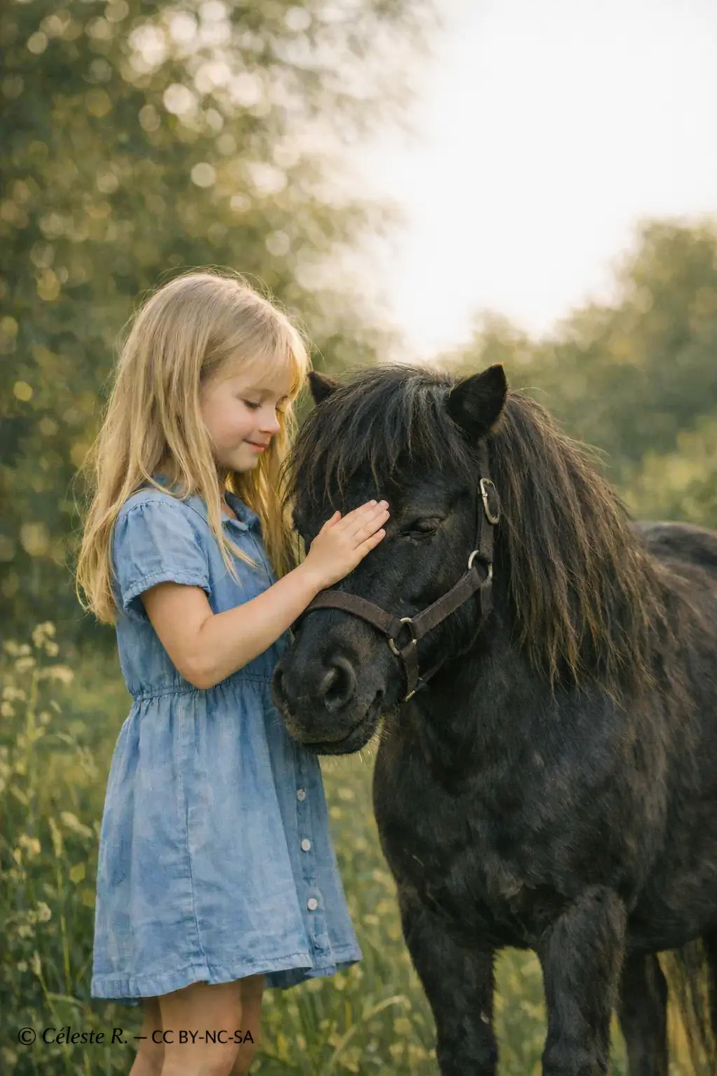 Poney
